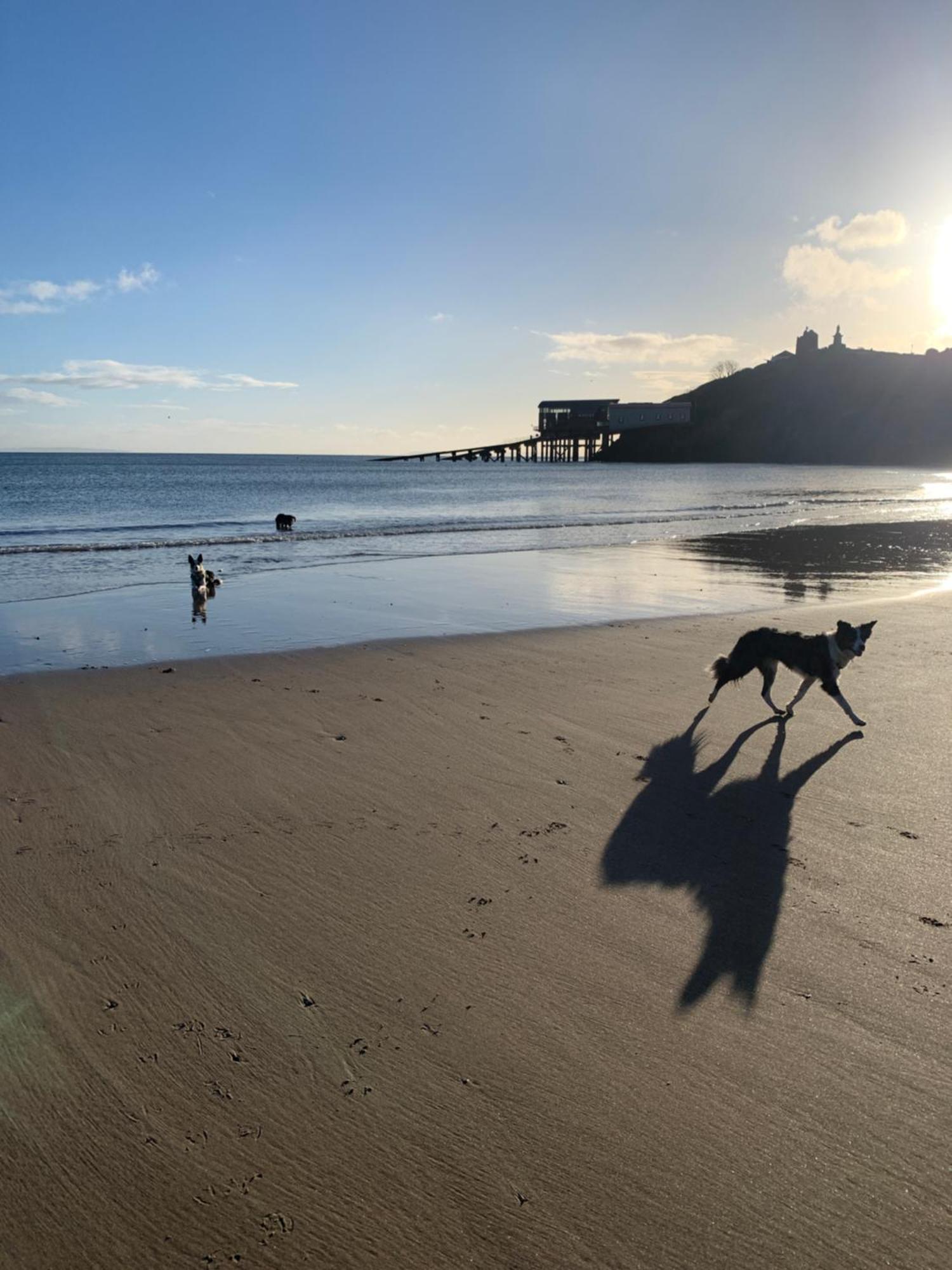 Tenby House For 6 With 2 Parking Spaces エクステリア 写真